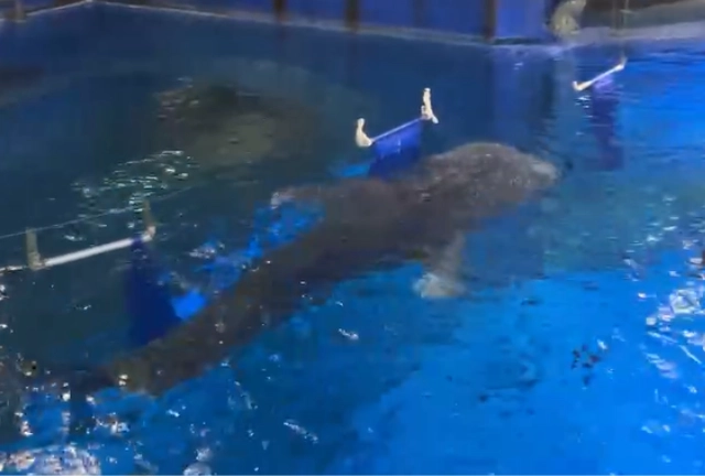鹿児島水族館に行ってきたよ